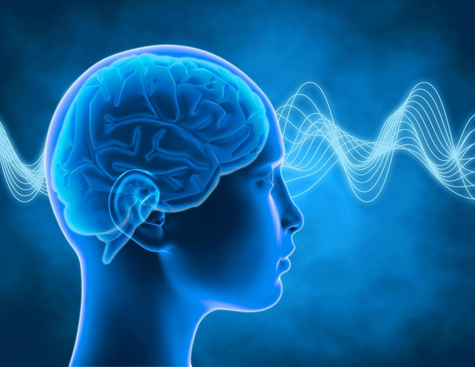 Gravity of Thoughts: A Neuroscience Perspective